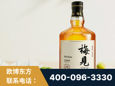 阳泉-梅见青梅酒
